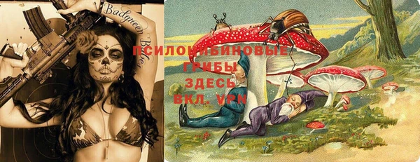 прущая мука Алзамай