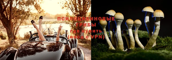 прущая мука Алзамай