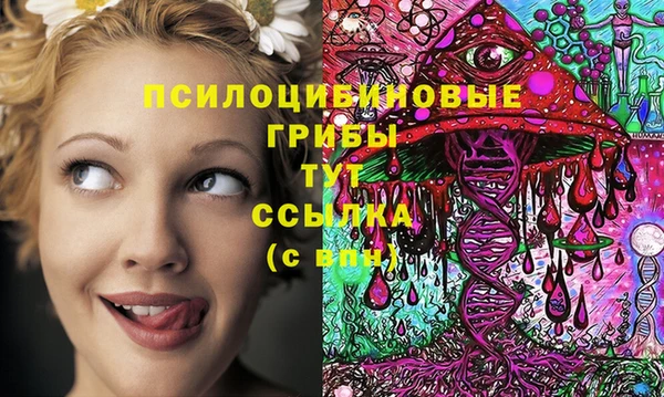 героин Алексин