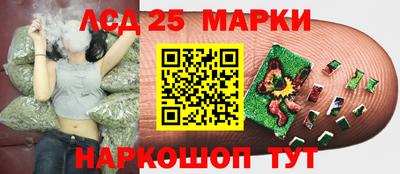 спиды Камышлов