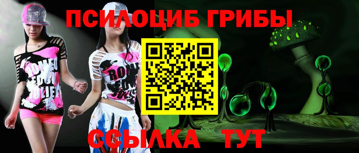 Псилоцибиновые грибы прущие грибы Кыштым
